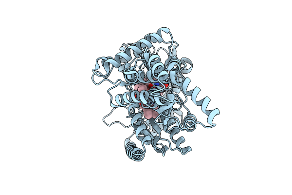 9SST image