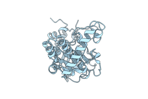 9SSV image