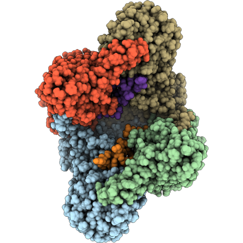 9SV7 image