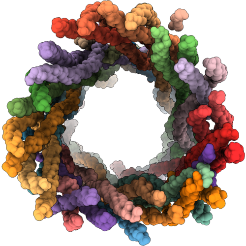 9SWW image
