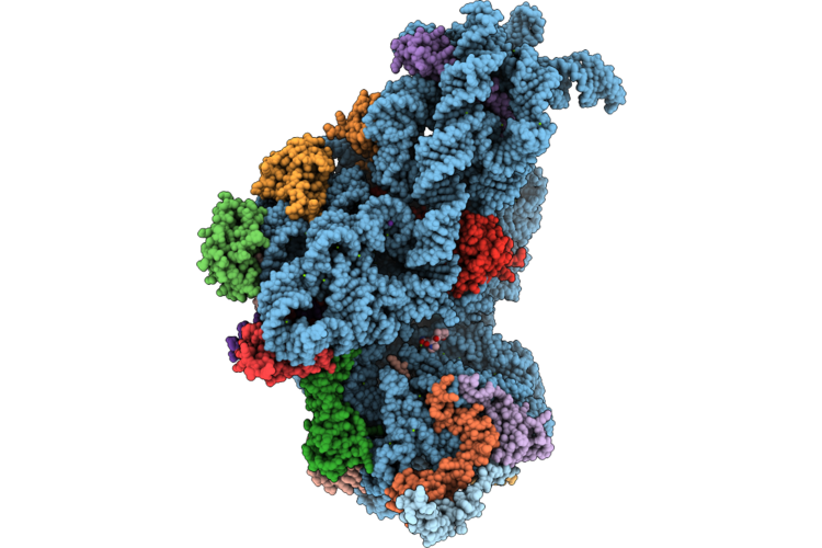 9SX2 image