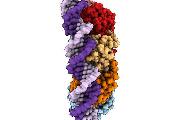 9SX6 image
