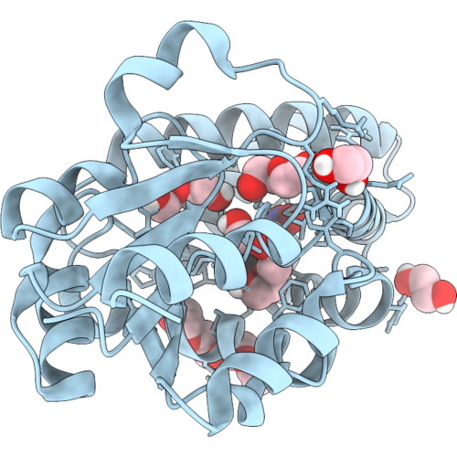 9SX8 image