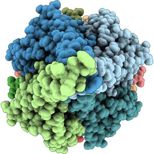 9SX9 image