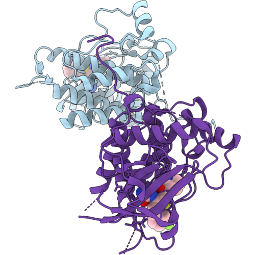 9SXE image