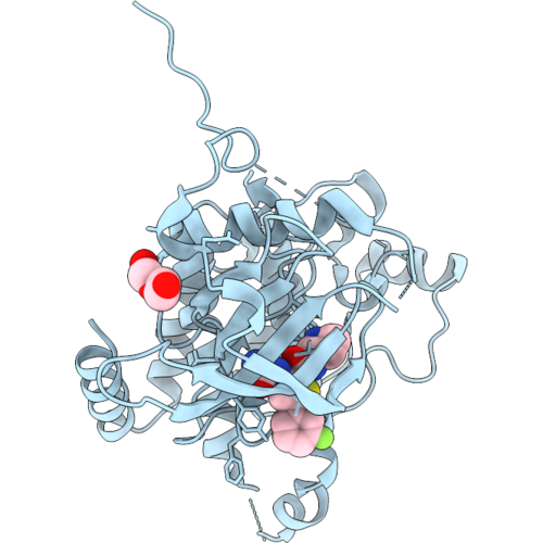 9SXG image
