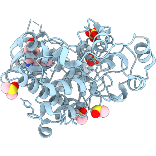 9SXN image