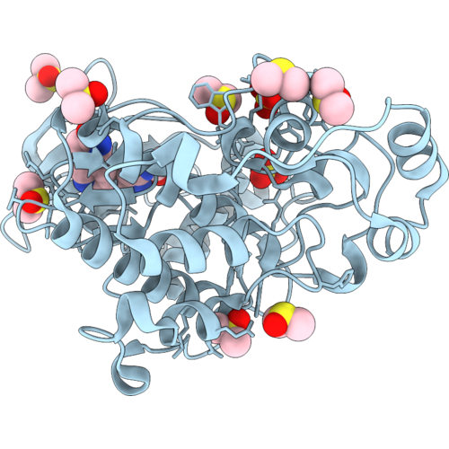 9SXP image