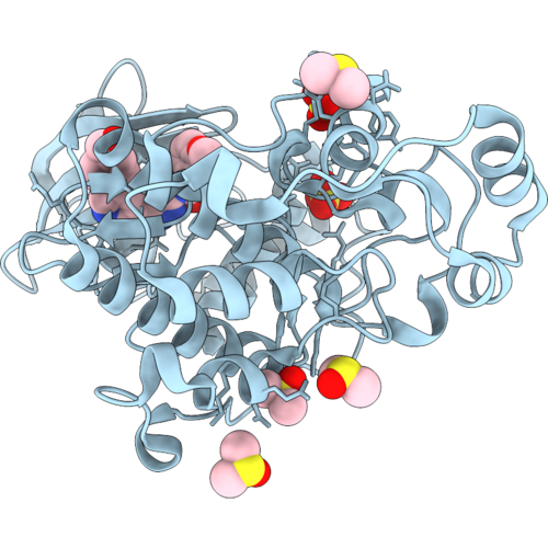 9SXR image