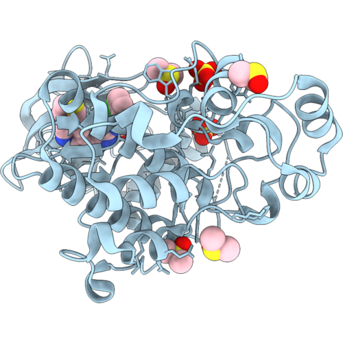 9SXU image