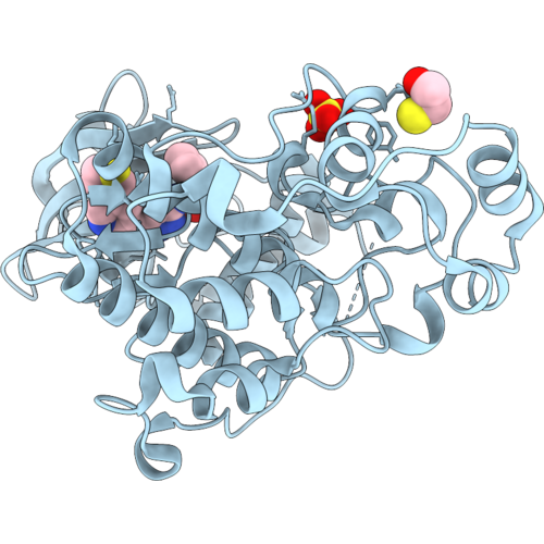 9SXX image