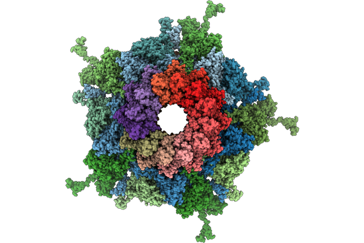 9SYS image