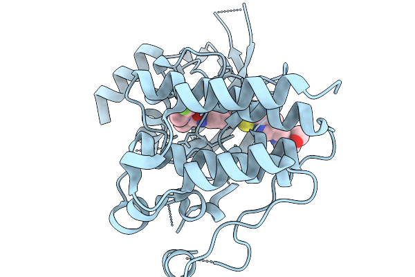 9T08 image