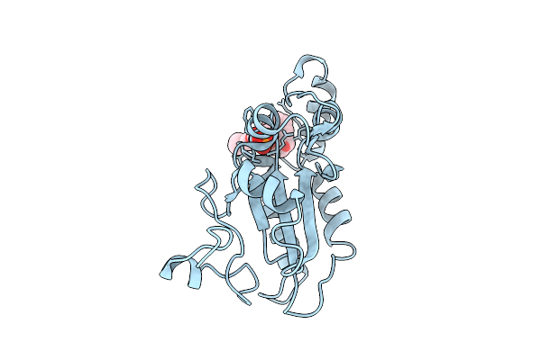 9T0A image