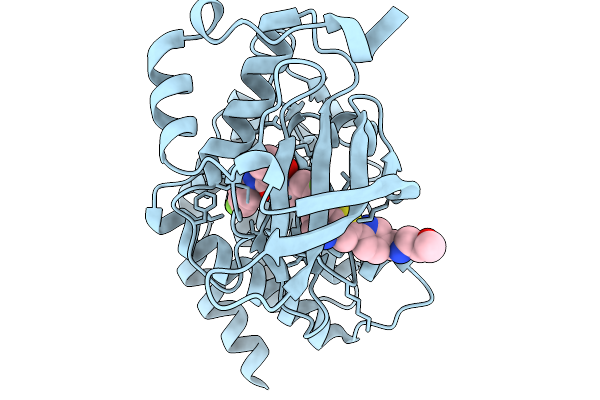 9T0B image