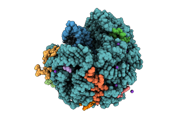 9T1A image