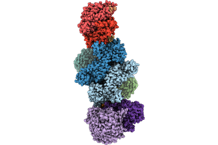 9T1S image
