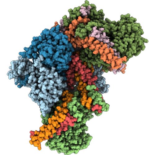 9T25 image