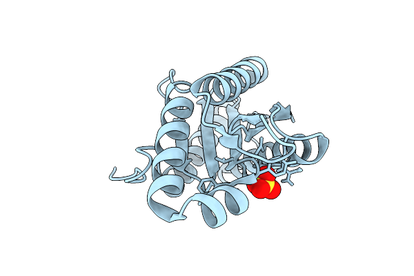 9T28 image