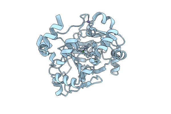 9T29 image