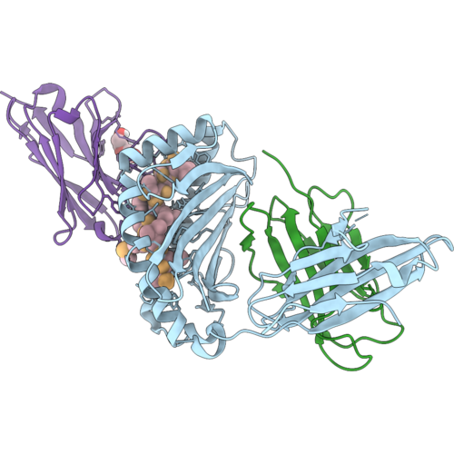 9T2A image