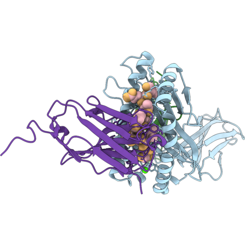 9T2B image