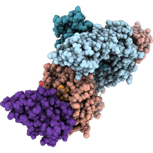 9T2C image