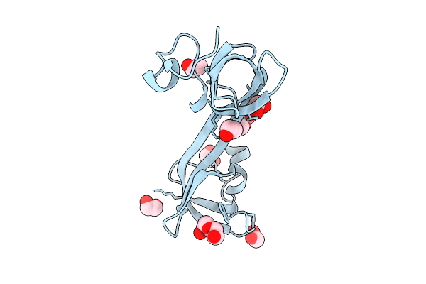 9T2D image