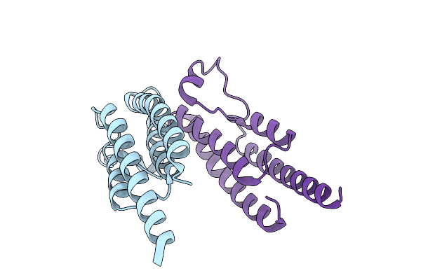 9T2E image