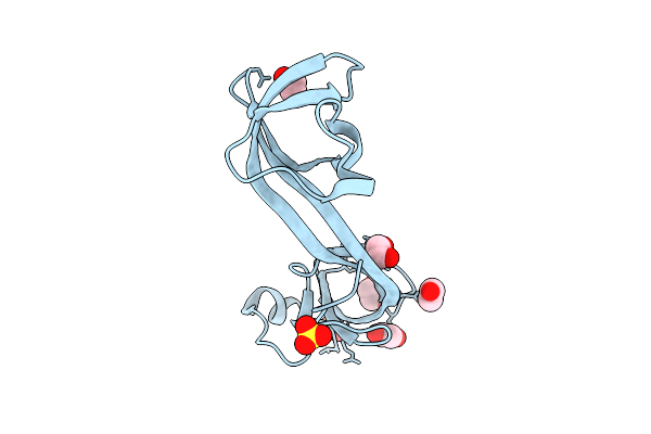 9T2H image