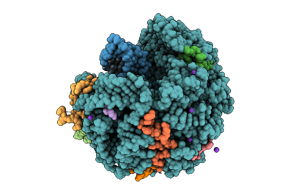 9T2N image