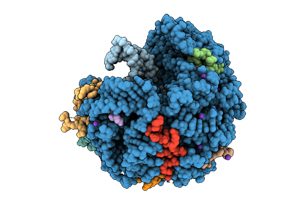 9T2R image