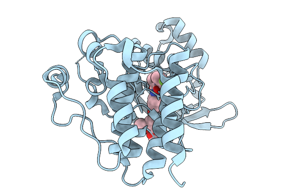 9T2V image