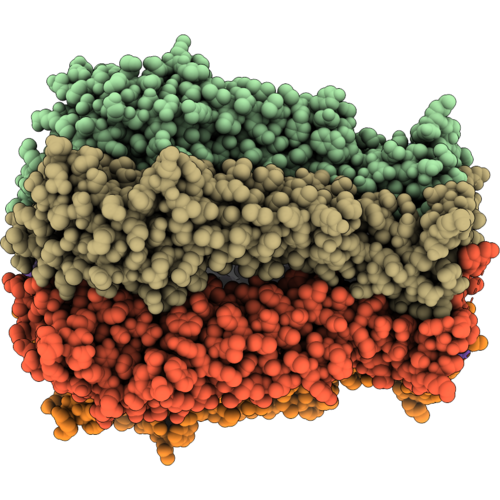 9T33 image