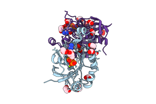9T3C image