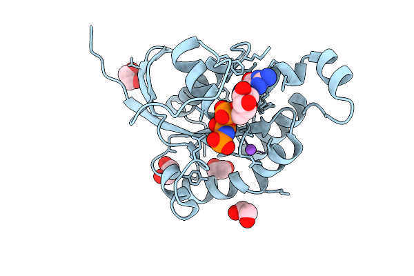 9T3D image
