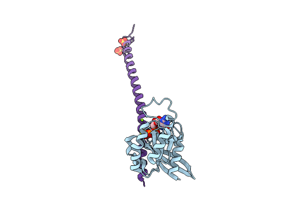 9T3E image