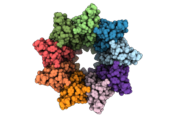 9T3P image