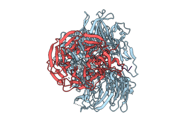 9T3X image