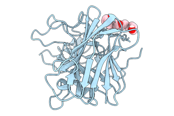 9T47 image