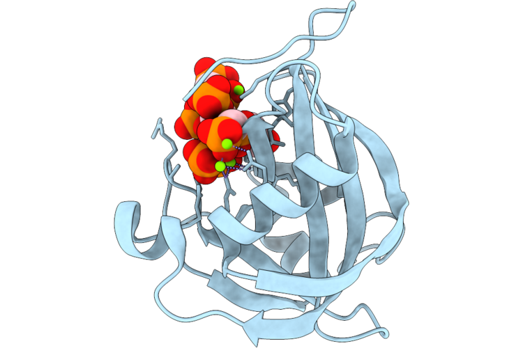 9T4B image