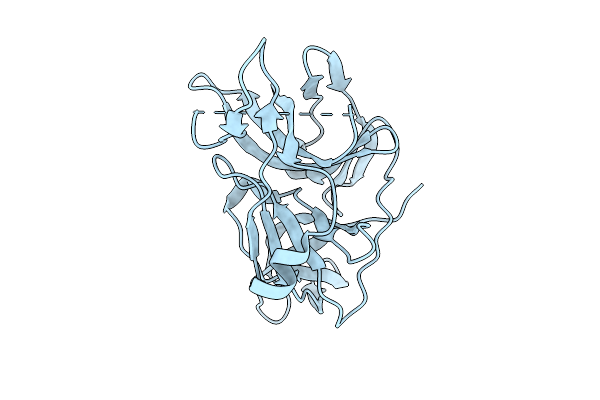 9T4P image