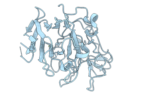 9T4Q image