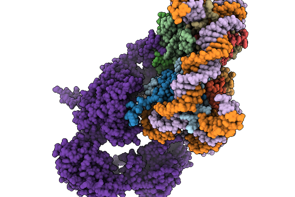 9T4V image