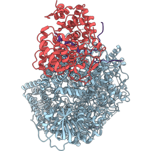 9T53 image