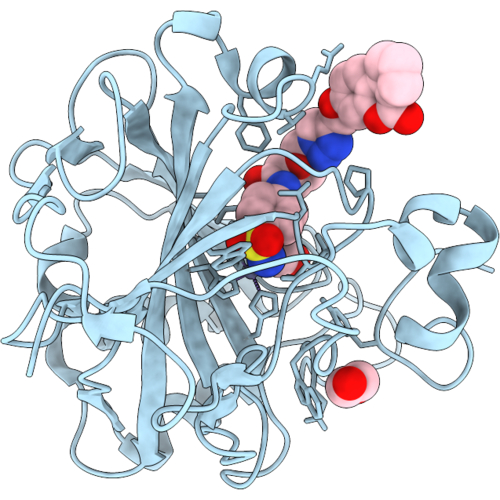 9T58 image