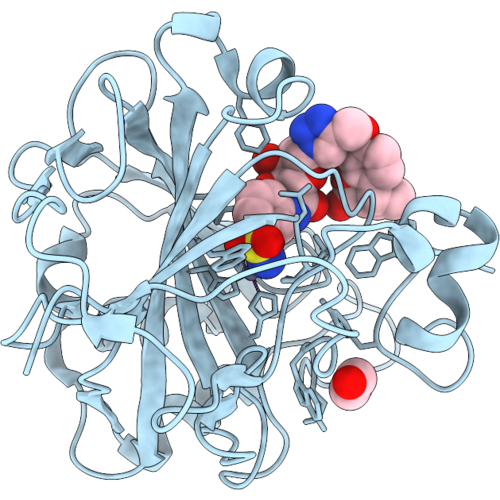 9T59 image