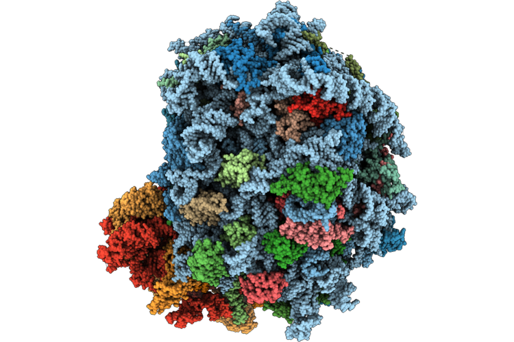 9T5C image