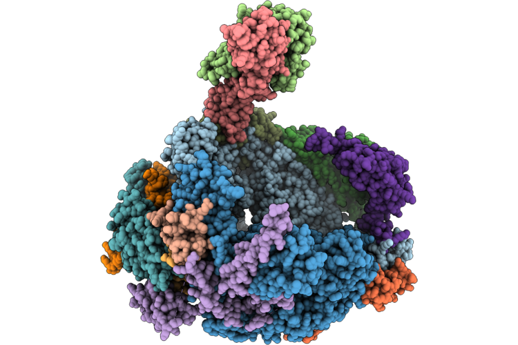 9T5H image