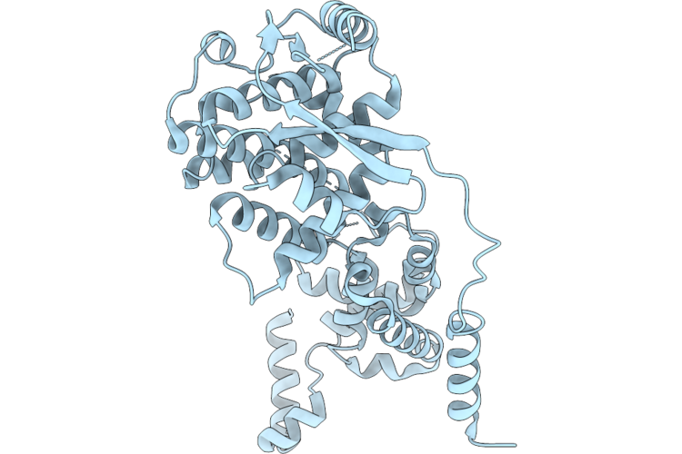 9T5K image